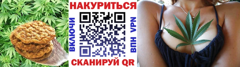 Купить закладки  Донецк  Canna-Cookies марихуана 