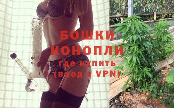 не бодяженный Бородино